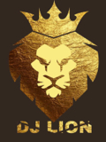 الصورة الرمزية DJ LION